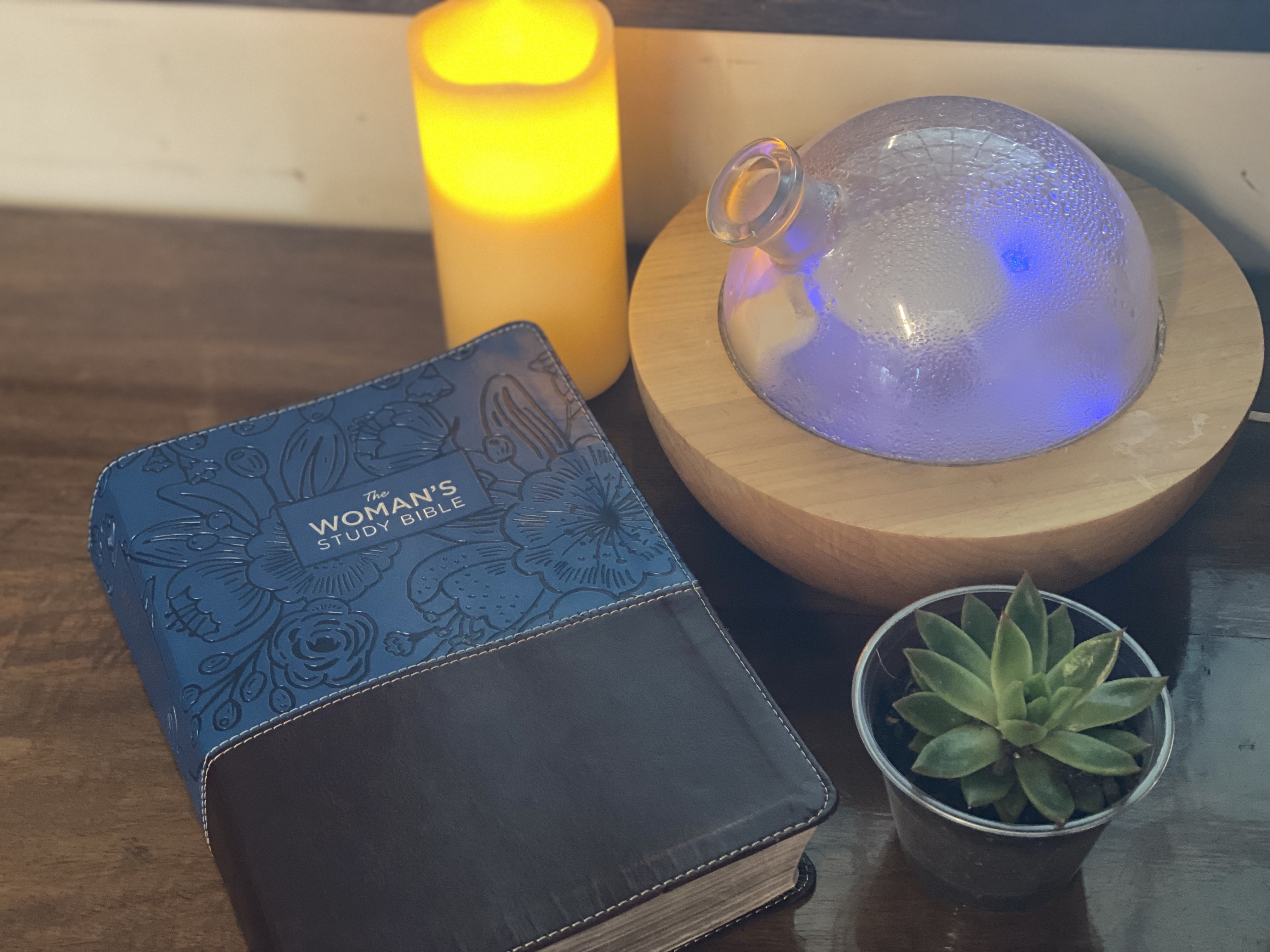 A Bible, candle, and plant arranged for a quiet devotional moment